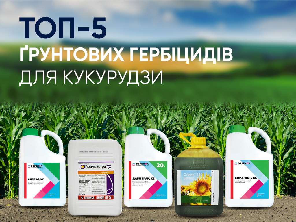 Рейтинг LNZ web: ТОП-5 найкращих грунтових гербіцидів для кукурудзи