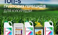 Рейтинг LNZ web: ТОП-5 найкращих грунтових гербіцидів для кукурудзи