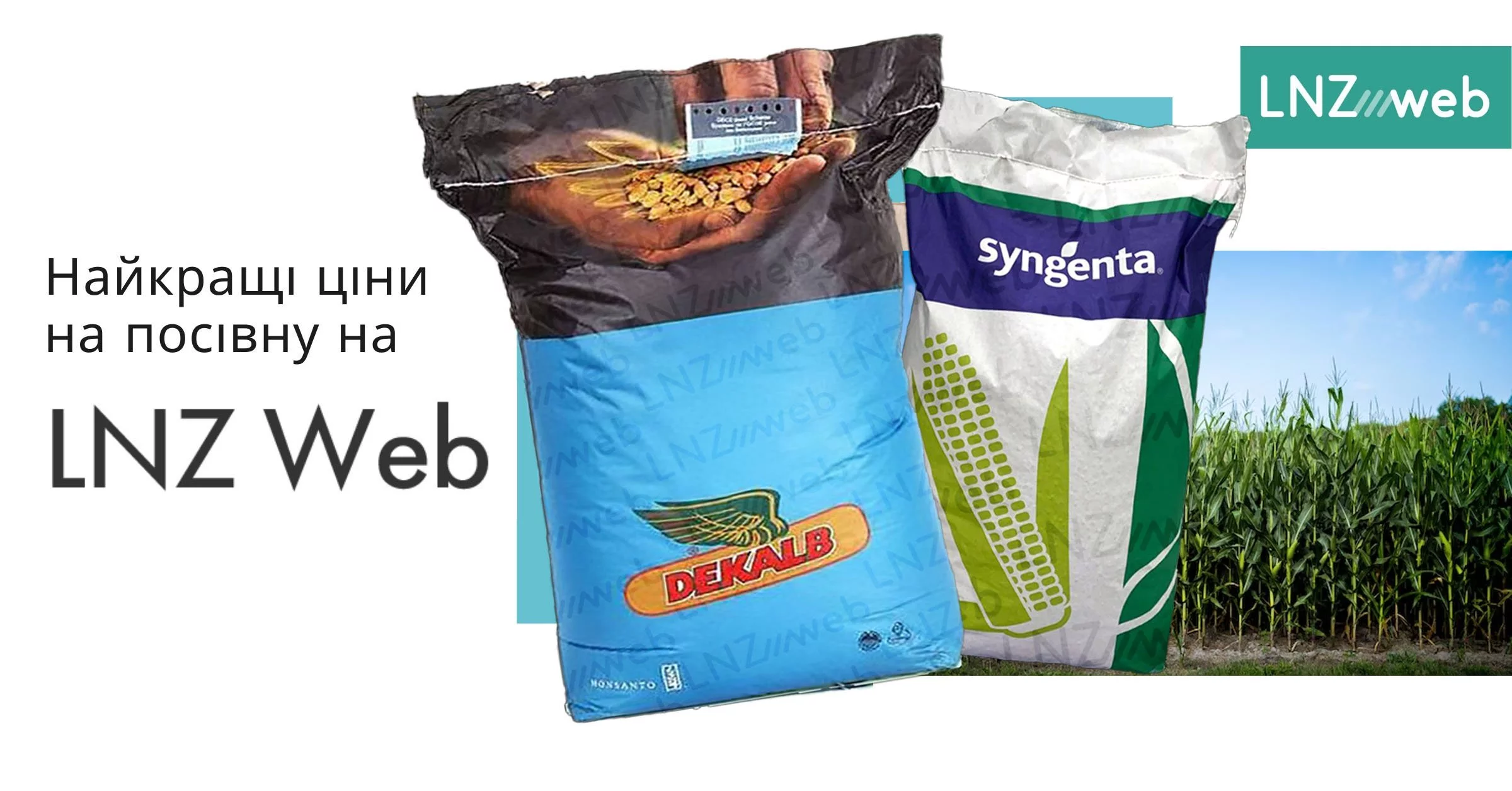 Акція! Знижки на кукурудзу DEKALB, Syngenta, Pioneer, LG