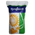 СИ Мічіган КЛП Круїзер + EPIVIO™ Energy 2024 р.в.