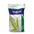 СИ Фортаго MQ + Форс Зеа + Вайбранс 2022 г.у.