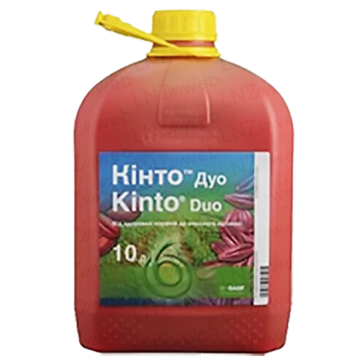 Кінто® Дуо