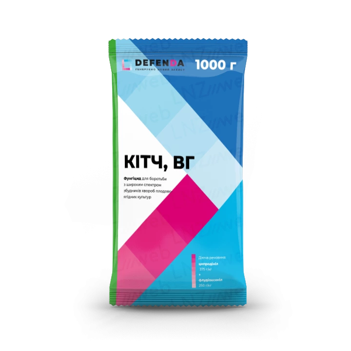 Кітч, ВГ