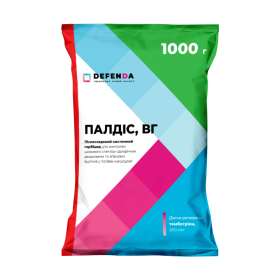 Палдіс