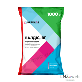 Палдіс