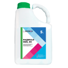 Радикал Нео